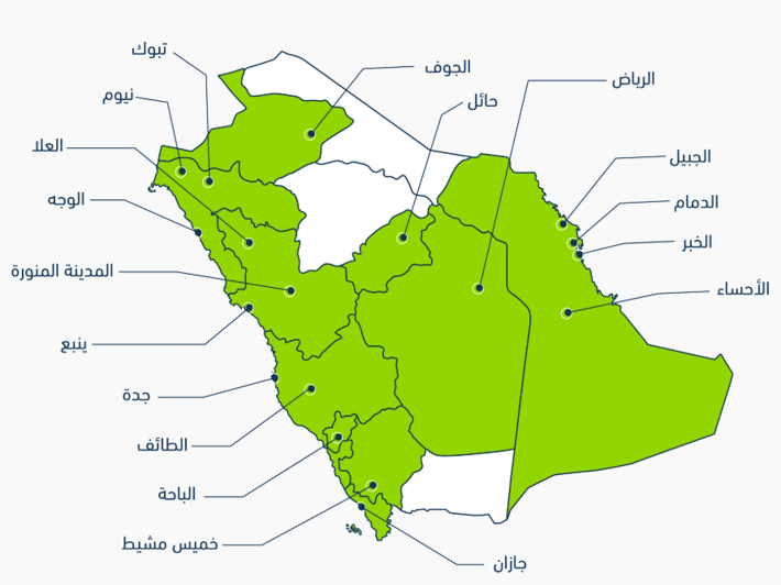لماذا عليك أن تختار استئجار سيارة من لومي لتأجير السيارات؟